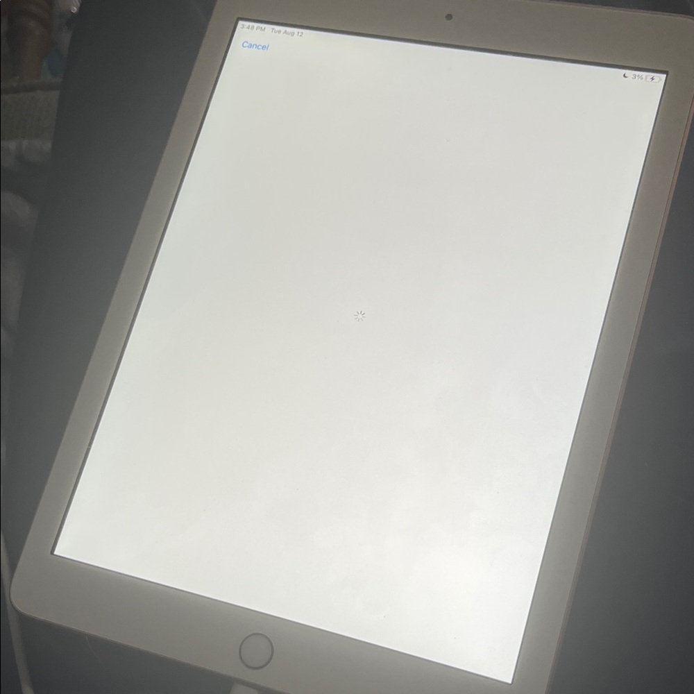 Apple iPad in Rose Gold